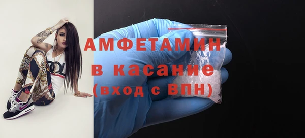 дживик Инта