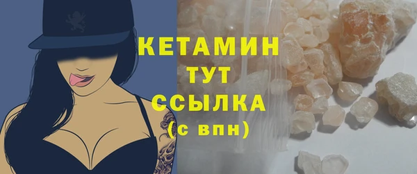 дживик Инта
