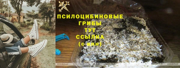mdpv Заводоуковск