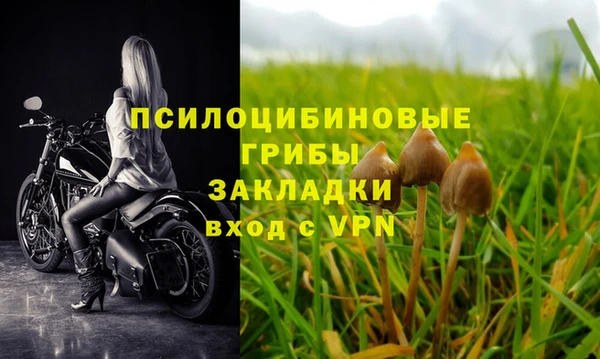 mdpv Заводоуковск