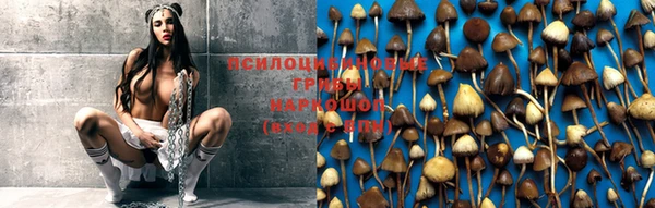 mdma Заволжск
