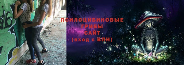 гашик Заволжье