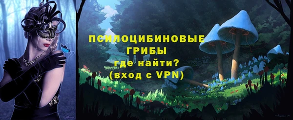 гашик Заволжье